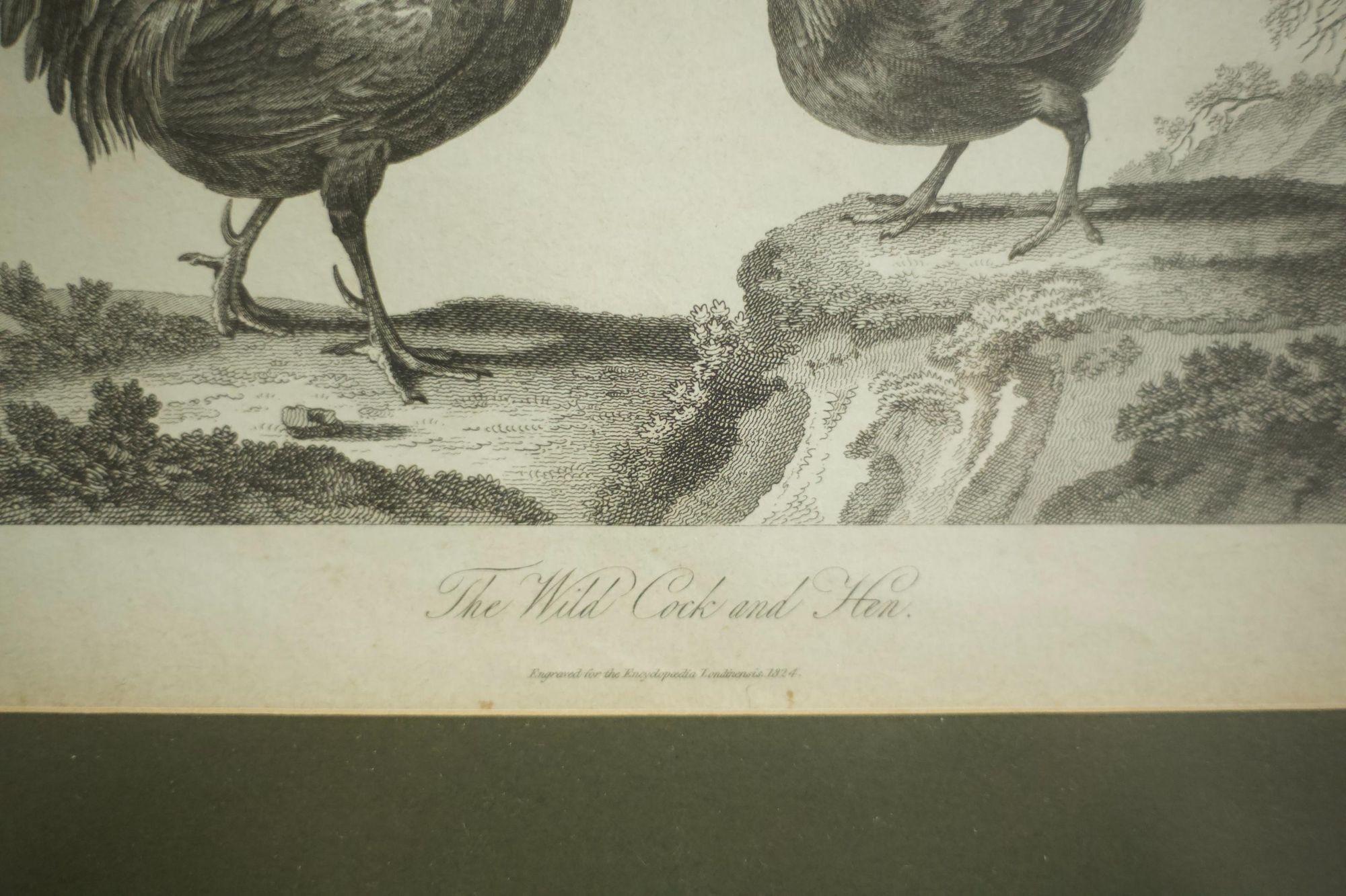 18th Century and Earlier 18th Century Book Plate of a Cockerel and Hen For Sale