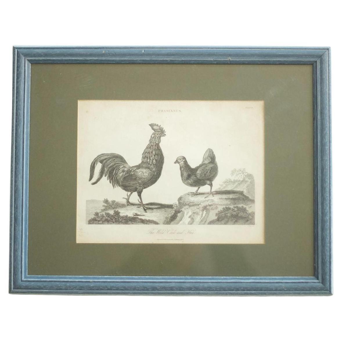 18th Century Book Plate of a Cockerel and Hen For Sale