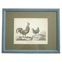 Antique 18th Century Book Plate of a Cockerel and Hen