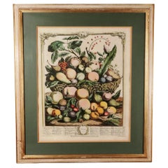 18th-century Botanical Engraving, Twelve Months of Fruit- July, Robert Furber
