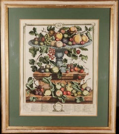 18th-century Botanical Engraving,  Twelve Months of Fruit- June, Robert Furber