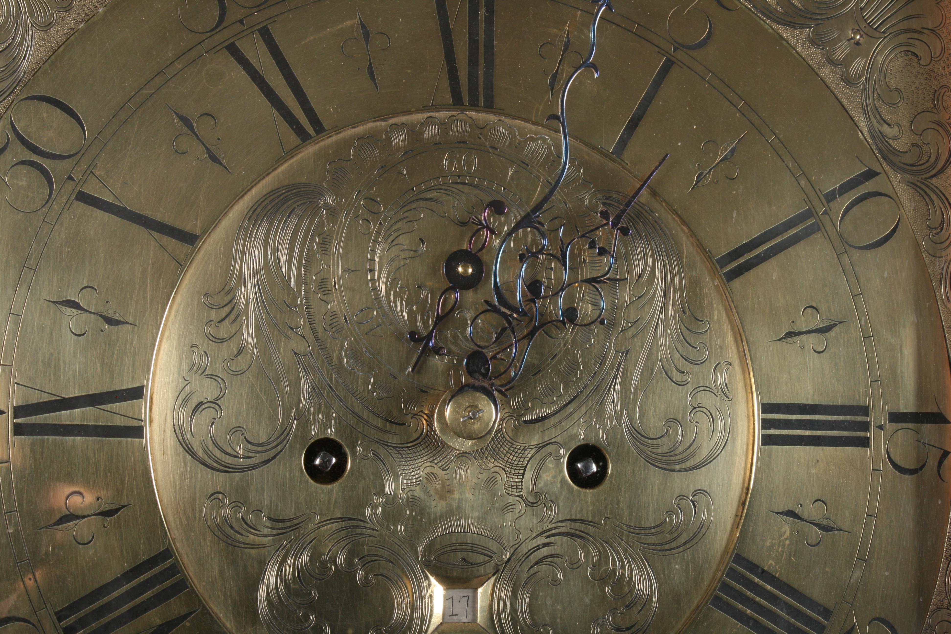18th Century Brass Dial Grandfather Clock For Sale 4