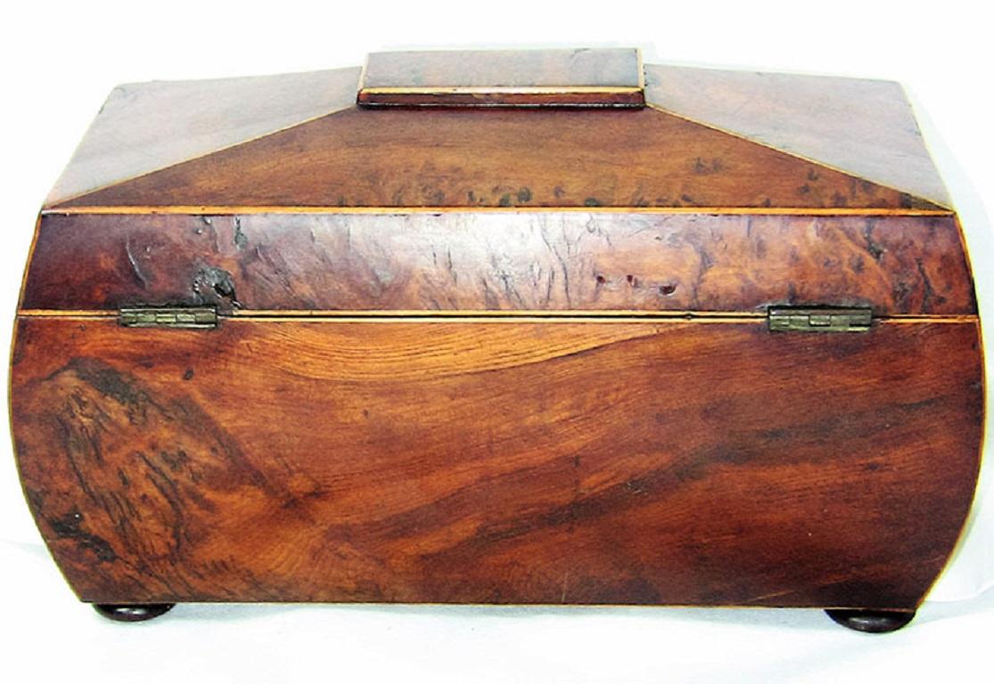 English 18th Century British Regency Sarcophagus Shaped Burl Yew Double Tea Caddy