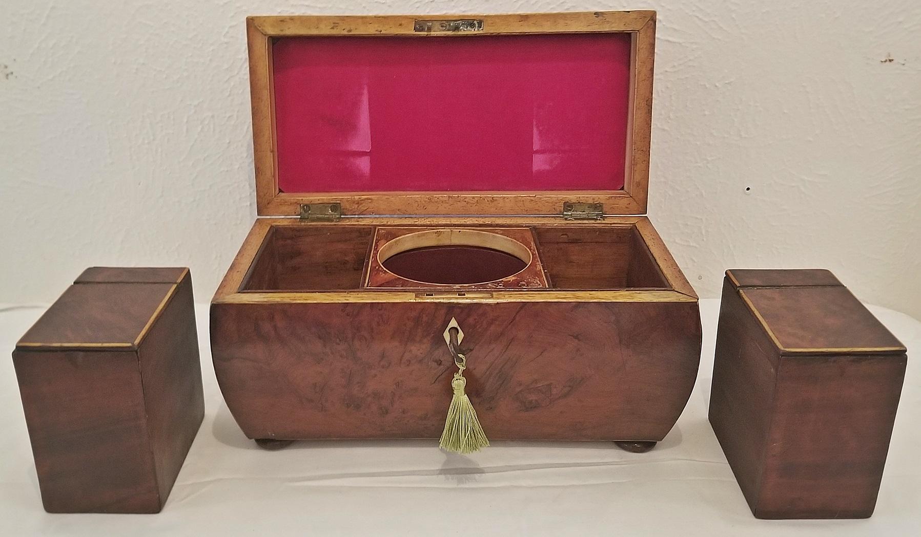 Birdseye Maple 18th Century British Regency Sarcophagus Shaped Burl Yew Double Tea Caddy