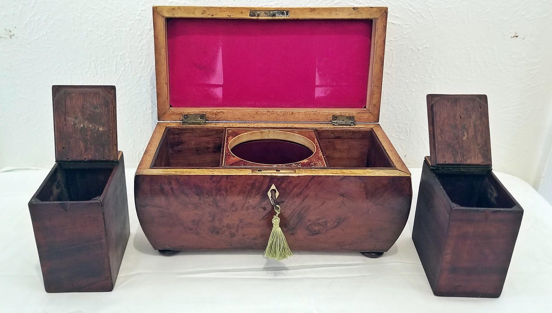 18th Century British Regency Sarcophagus Shaped Burl Yew Double Tea Caddy 1