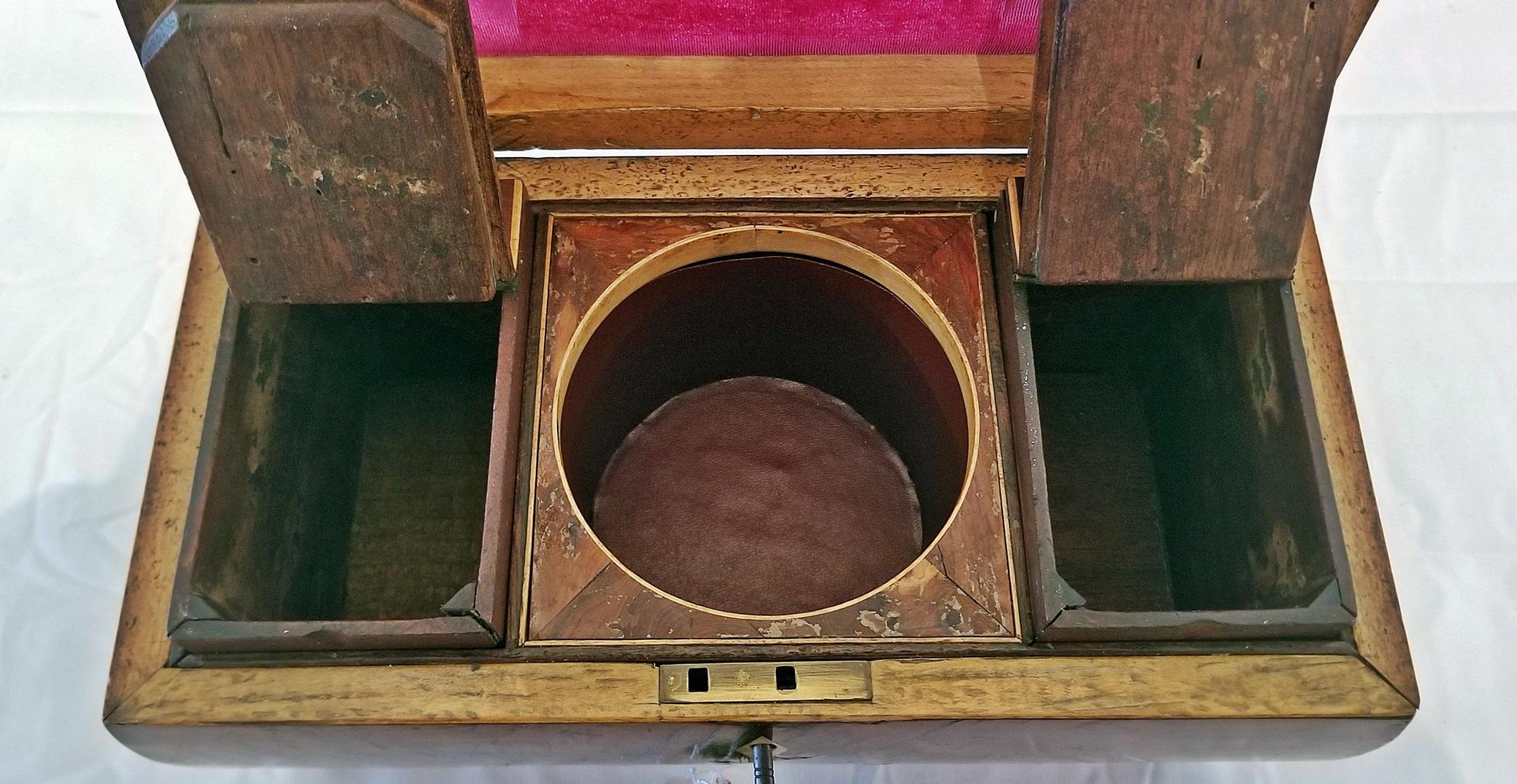 18th Century British Regency Sarcophagus Shaped Burl Yew Double Tea Caddy 2