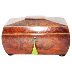 Antique 18th Century British Regency Sarcophagus Shaped Burl Yew Double Tea Caddy