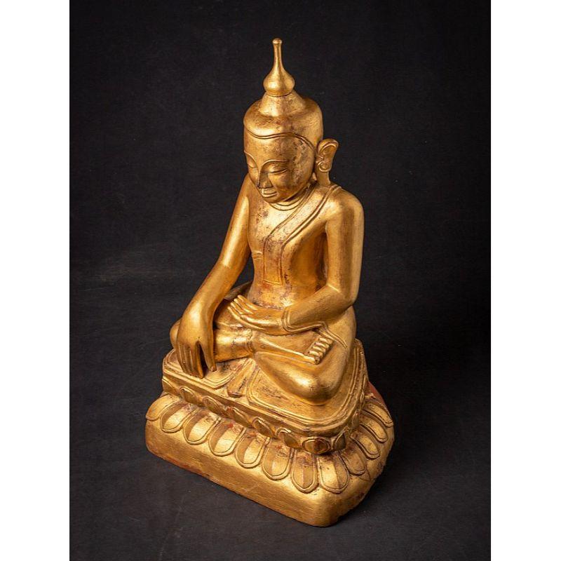 Birmanische Shan-Buddha-Statue des 18. Jahrhunderts aus Burma im Angebot 2