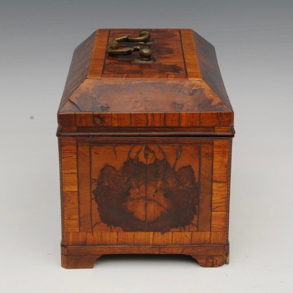 English 18th Century Burr Thornwood Tea Caddy For Sale