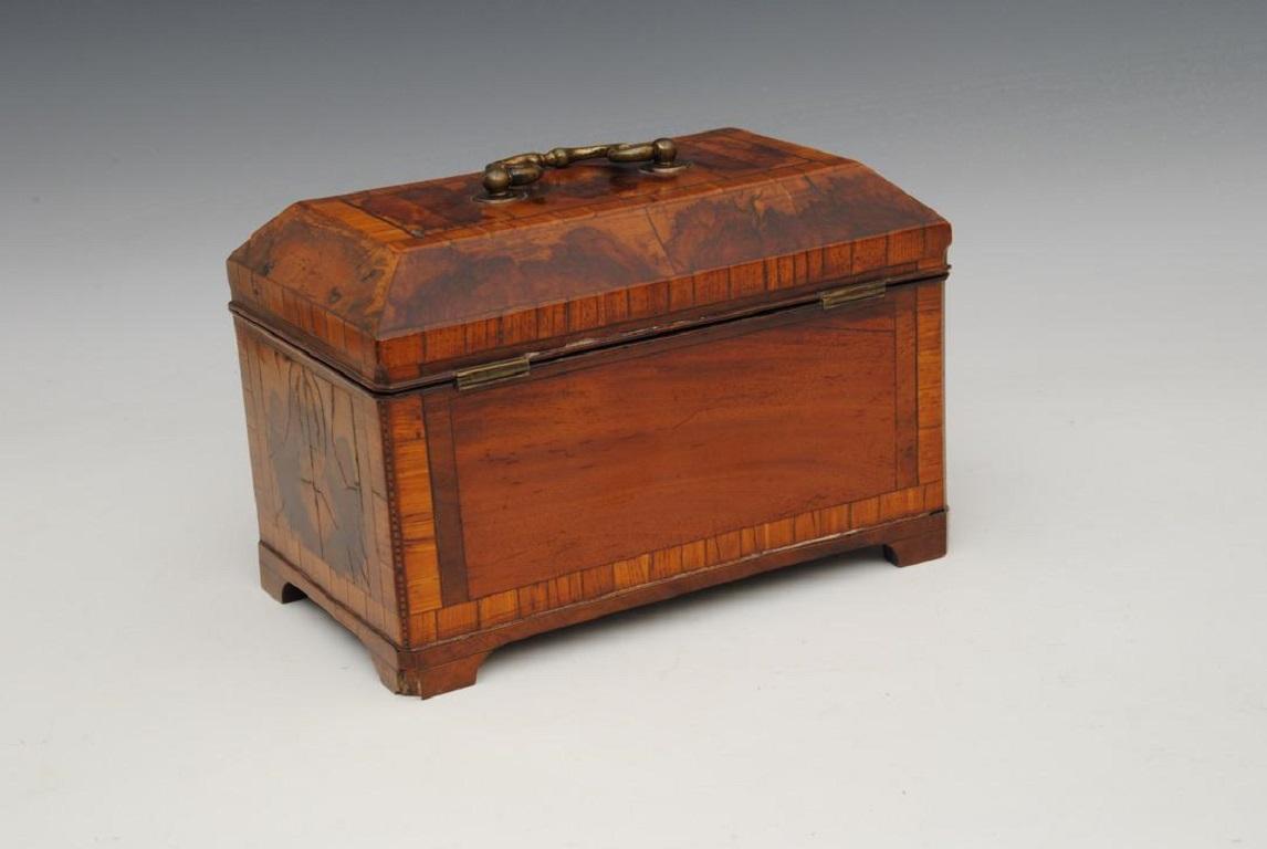 18th Century Burr Thornwood Tea Caddy In Good Condition For Sale In Lincolnshire, GB