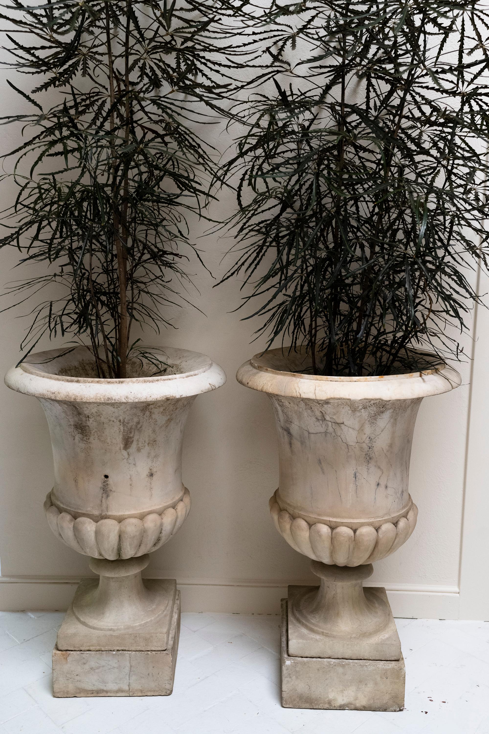 Made in Italy during the 18th century, these Carrara marble Medici style planters adorned either side of the front door of the French chateau from which they came, and feature their original separate marble-covered stone bases.
These may be used
