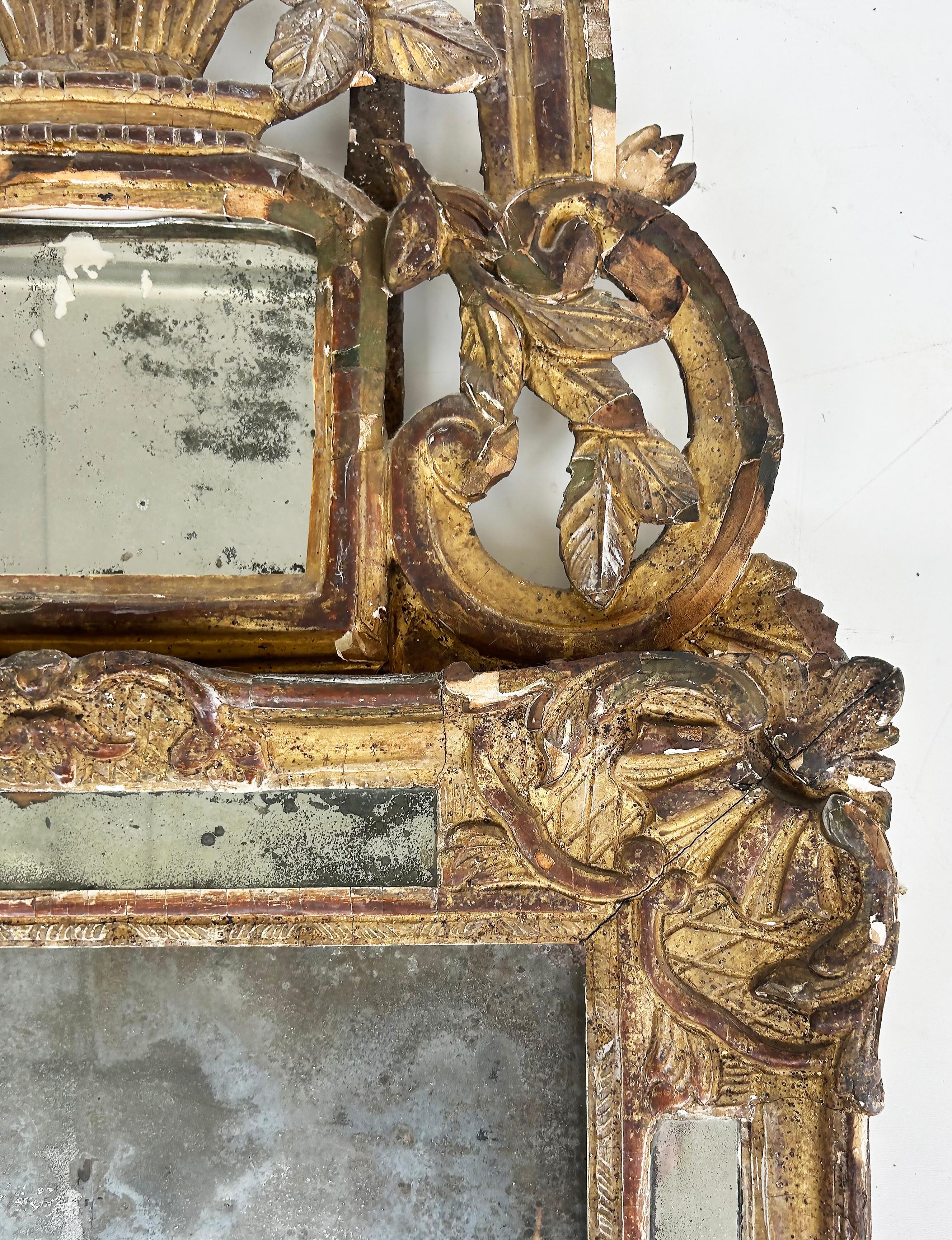French Provincial 18th Century Carved Giltwood Gesso Provençal Mercury Mirror, Original Gilding