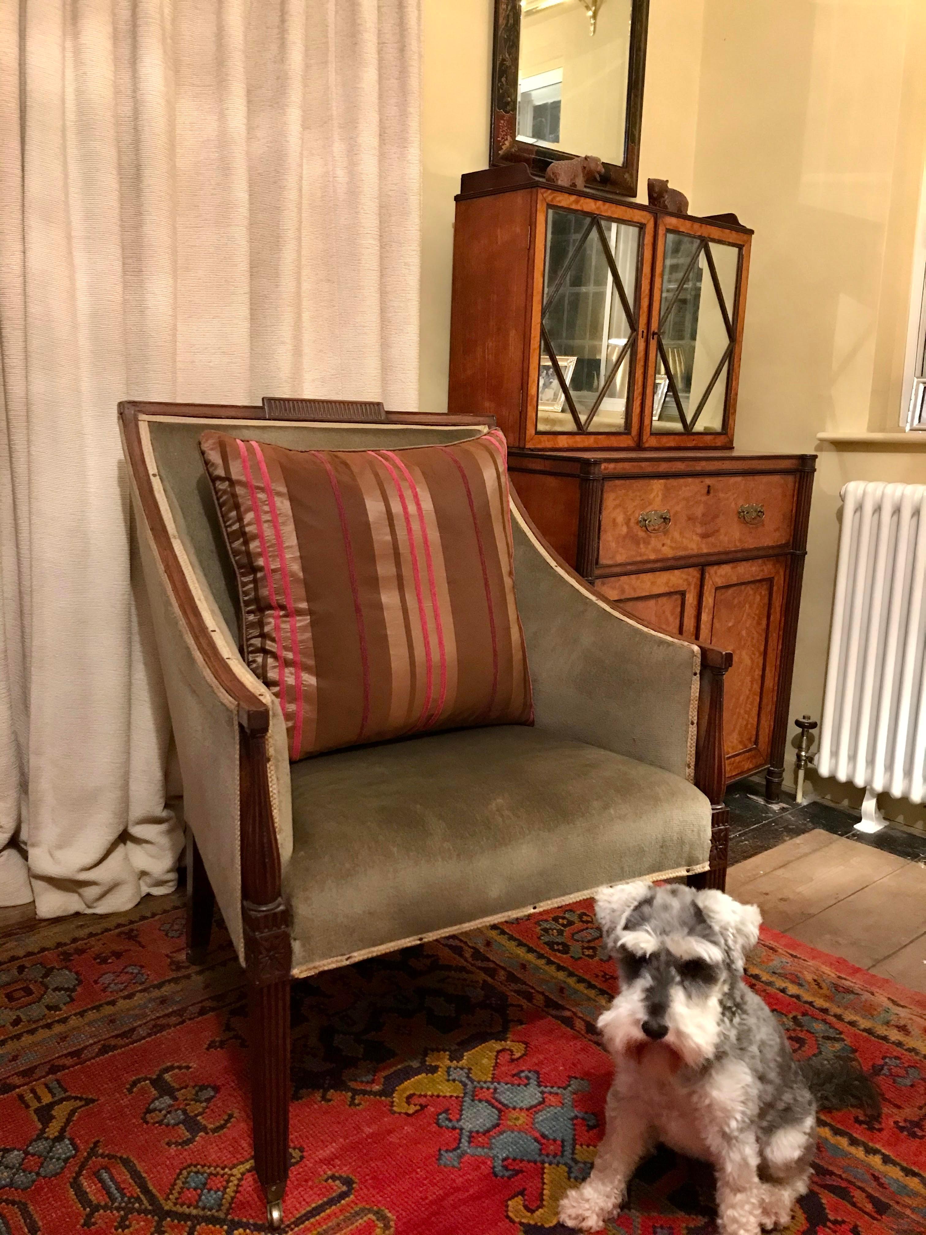 English 18th Century Carved Mahogany Library Bergère Armchair For Sale