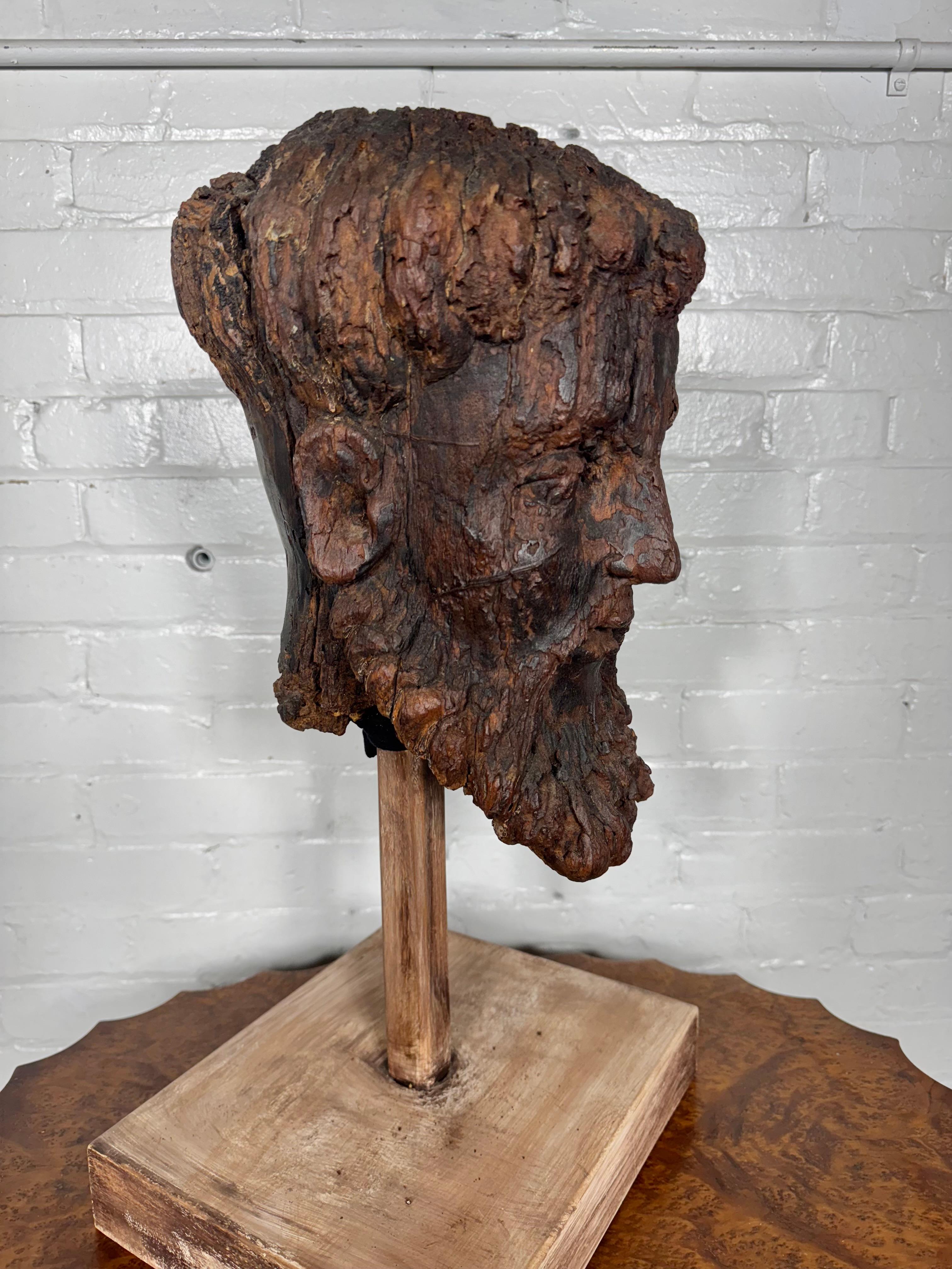 18. Jahrhundert geschnitzte Wood Wood Büste (Kopf). Spanien (Handgeschnitzt)