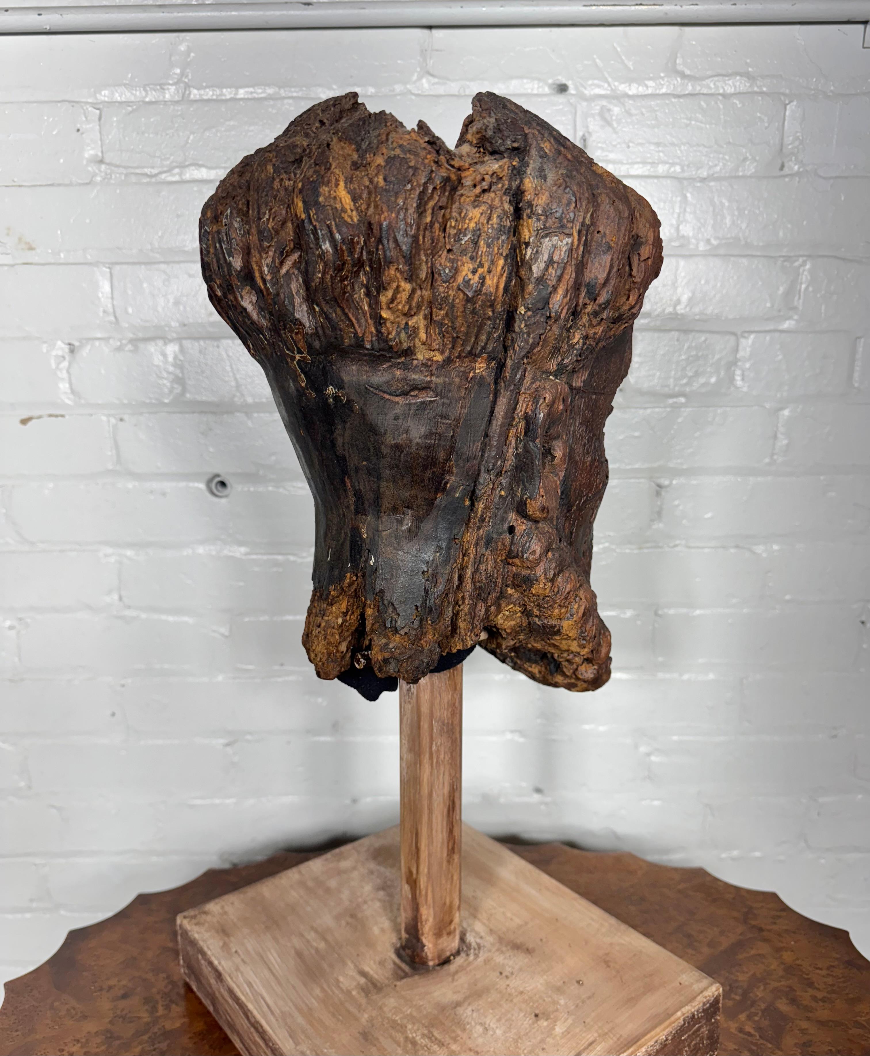18. Jahrhundert geschnitzte Wood Wood Büste (Kopf). Spanien im Zustand „Starke Gebrauchsspuren“ in Buffalo, NY