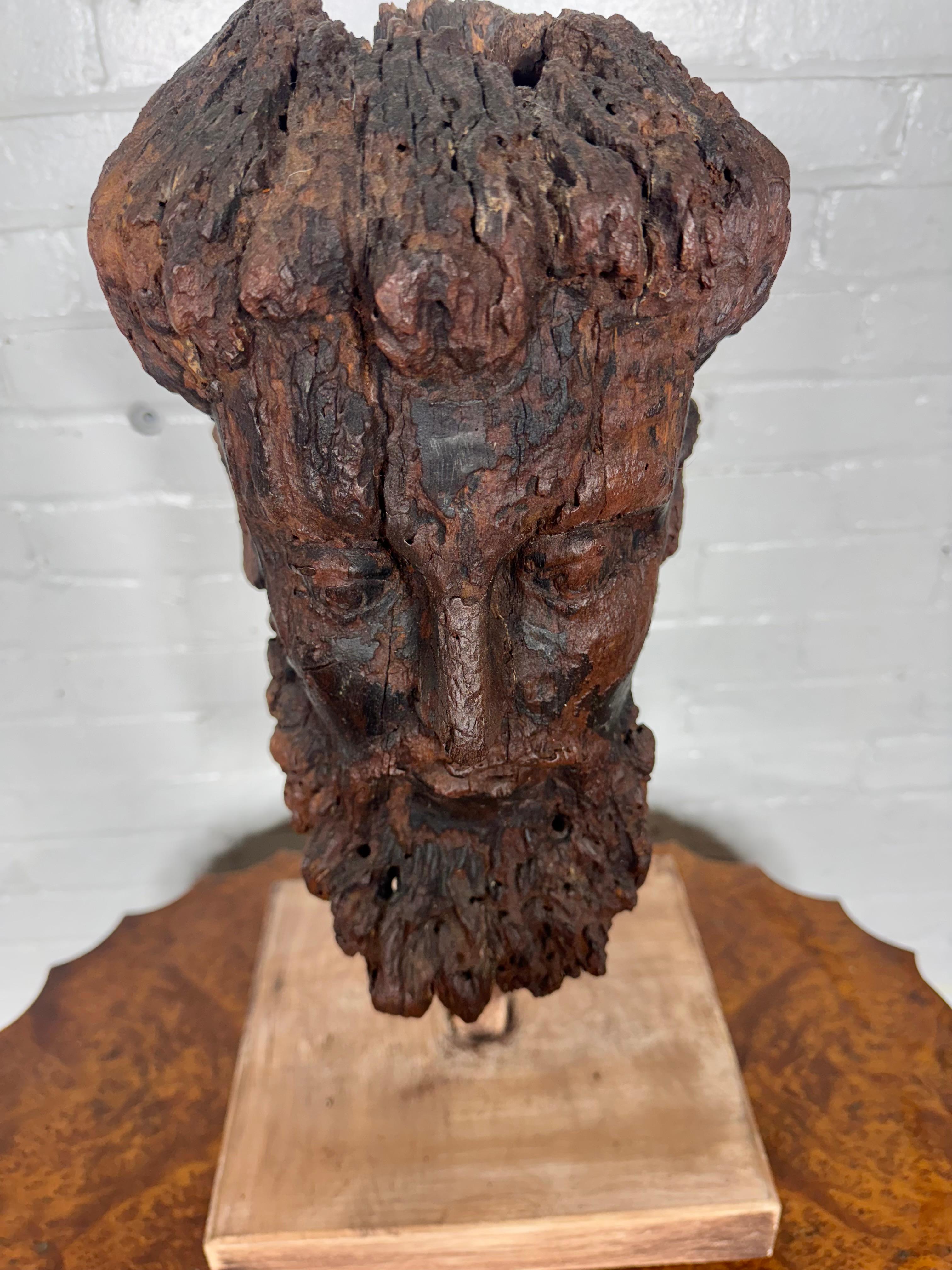 18. Jahrhundert geschnitzte Wood Wood Büste (Kopf). Spanien (Holz)