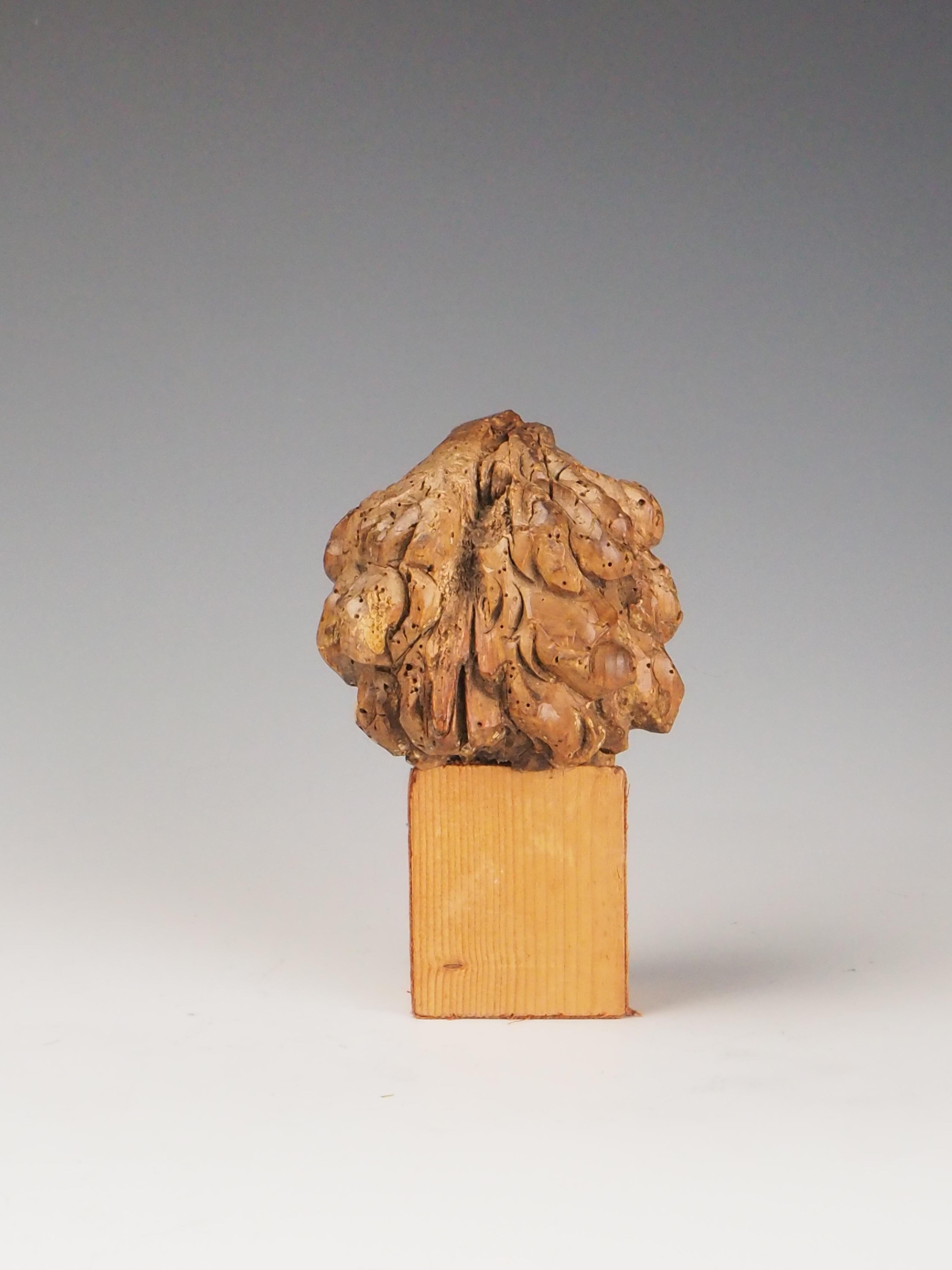 Legno Testa di filosofo intagliata in legno del XVIII secolo / Figura religiosa in vendita