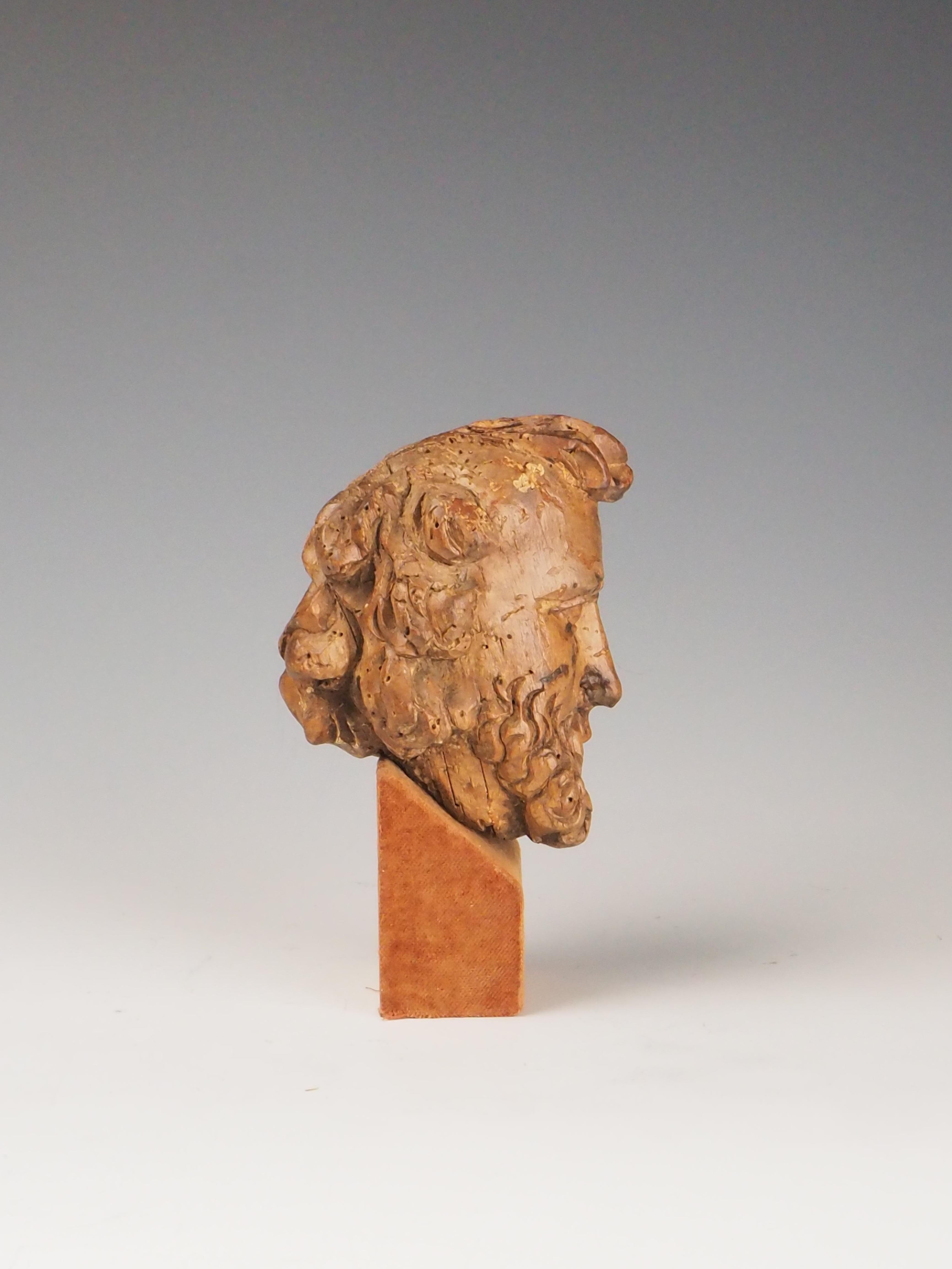 Testa di filosofo intagliata in legno del XVIII secolo / Figura religiosa in vendita 2