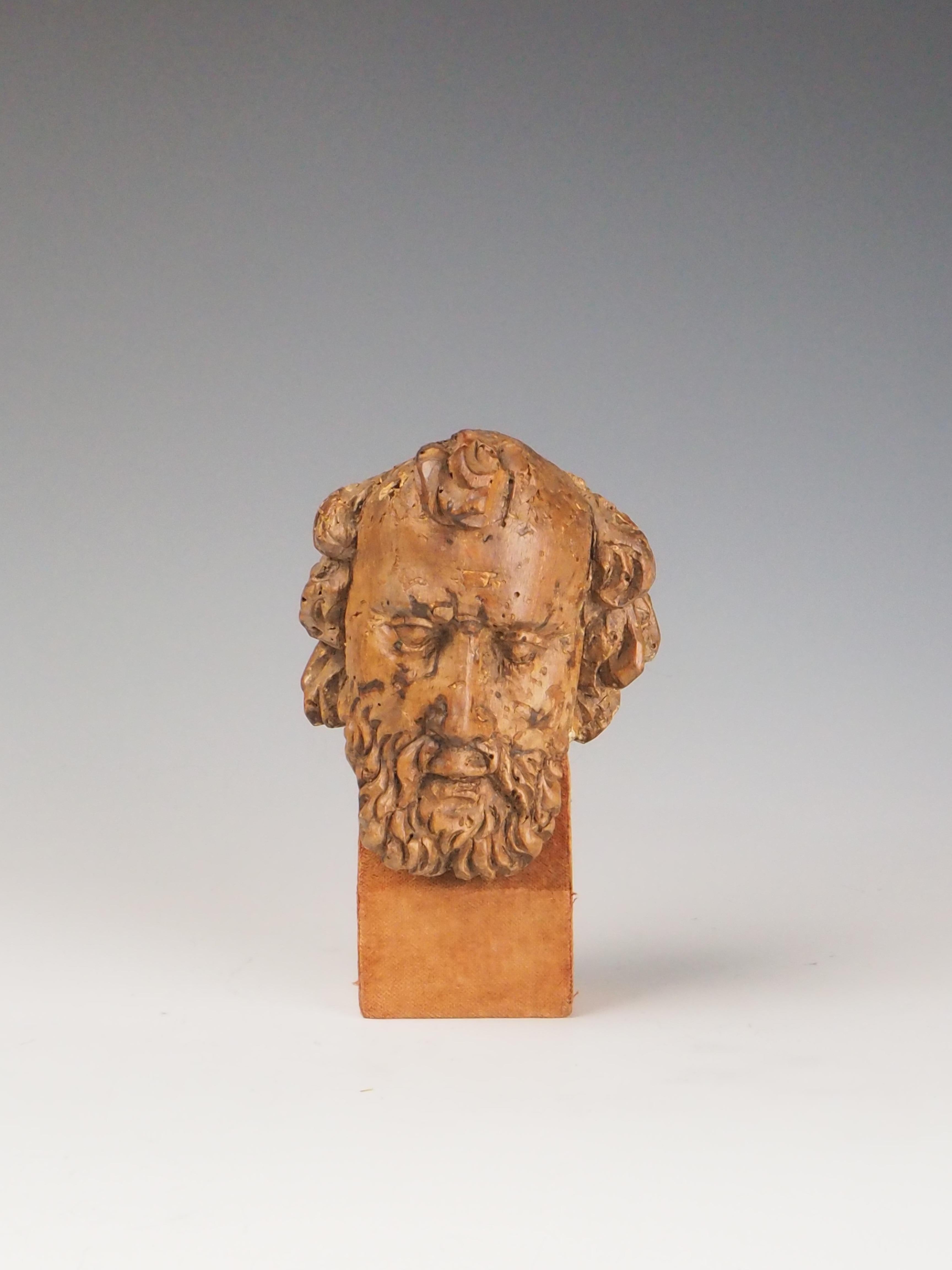 Testa di filosofo intagliata in legno del XVIII secolo / Figura religiosa in vendita 3