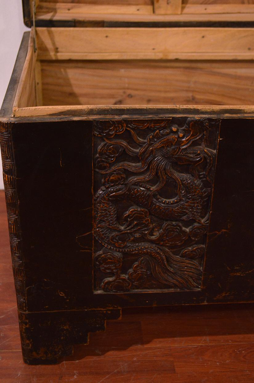 18th Century Chinese Camphor Wood Trunk with Carved Decoration 12