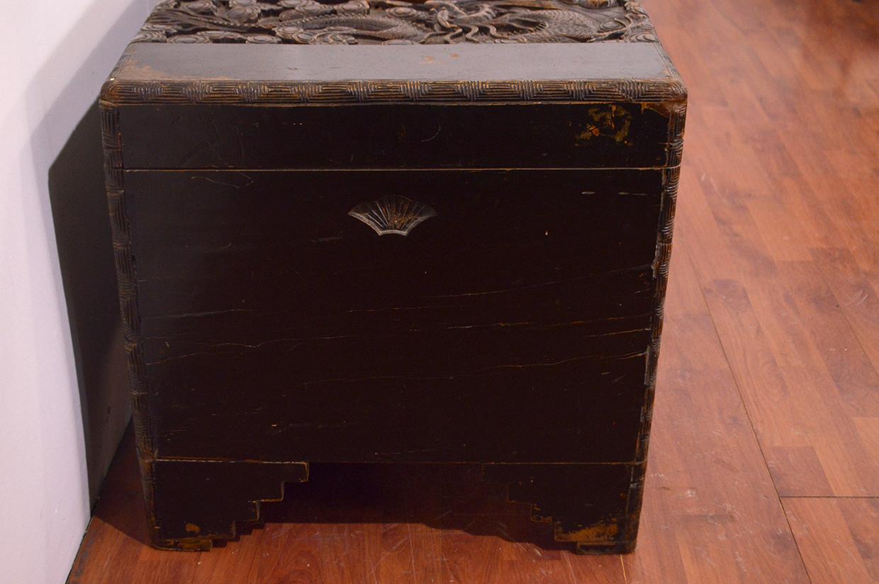 18th Century Chinese Camphor Wood Trunk with Carved Decoration 13