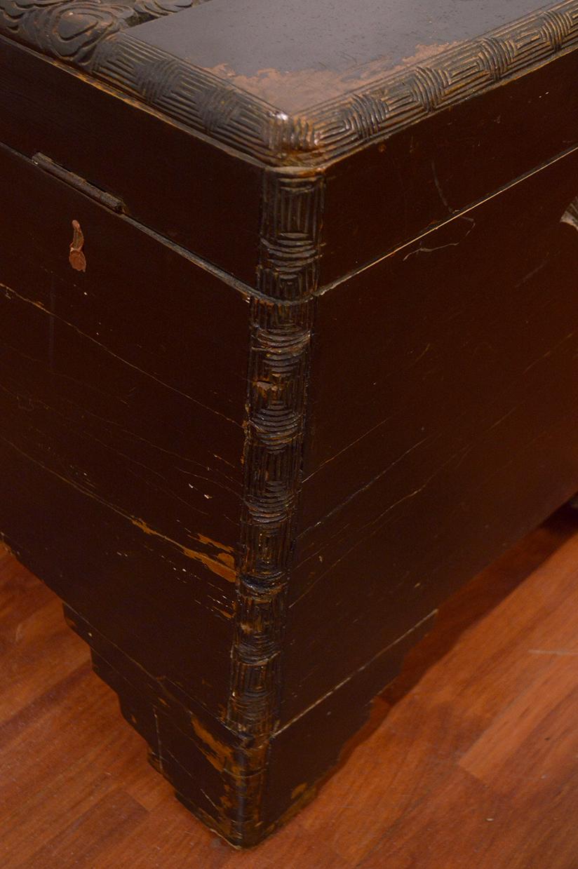 18th Century Chinese Camphor Wood Trunk with Carved Decoration 1