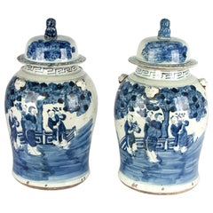 19th  Century Chinese Ginger Jars