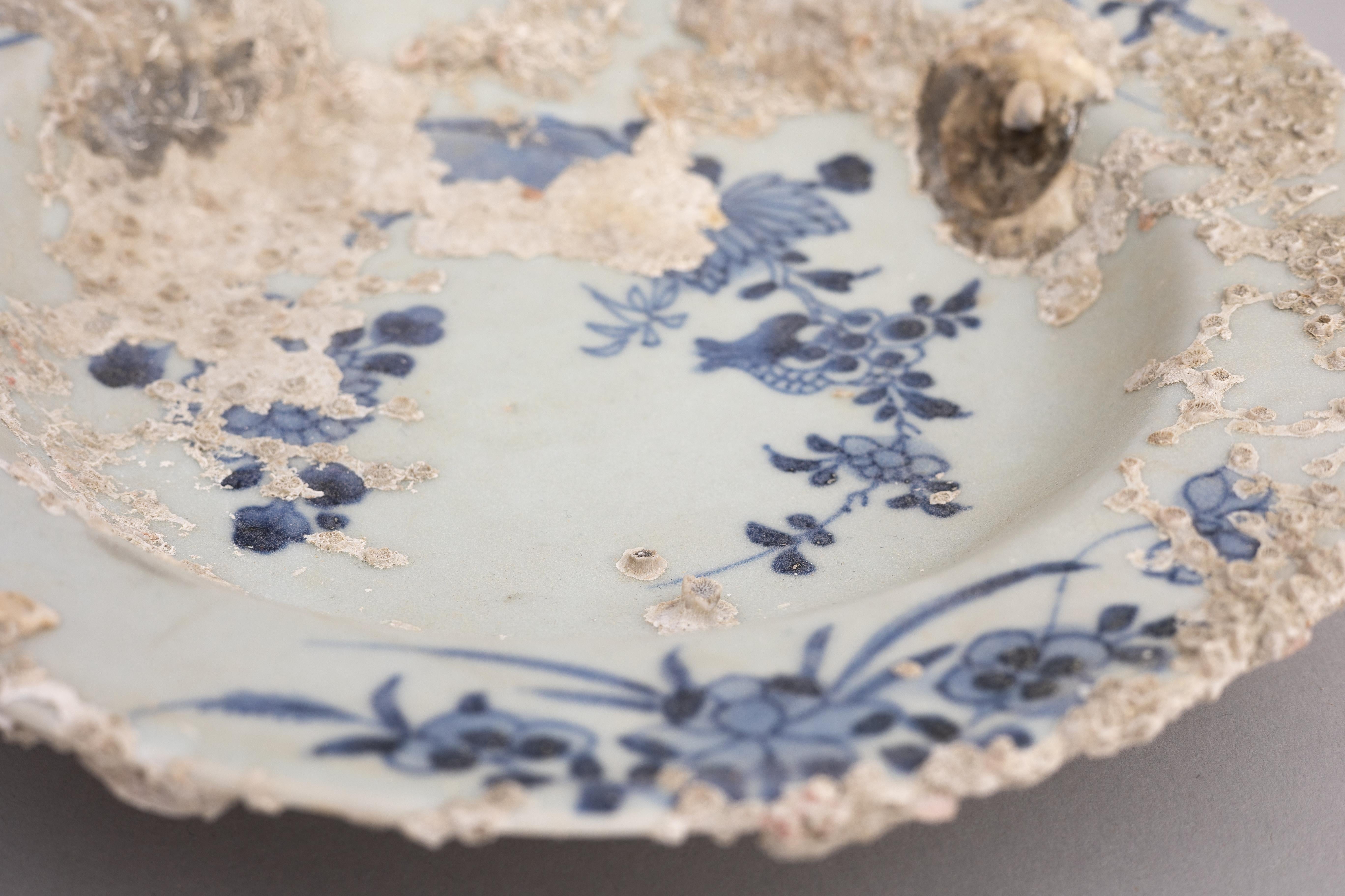 18th Century Chinese Shipwreck Porcelain Dish 3