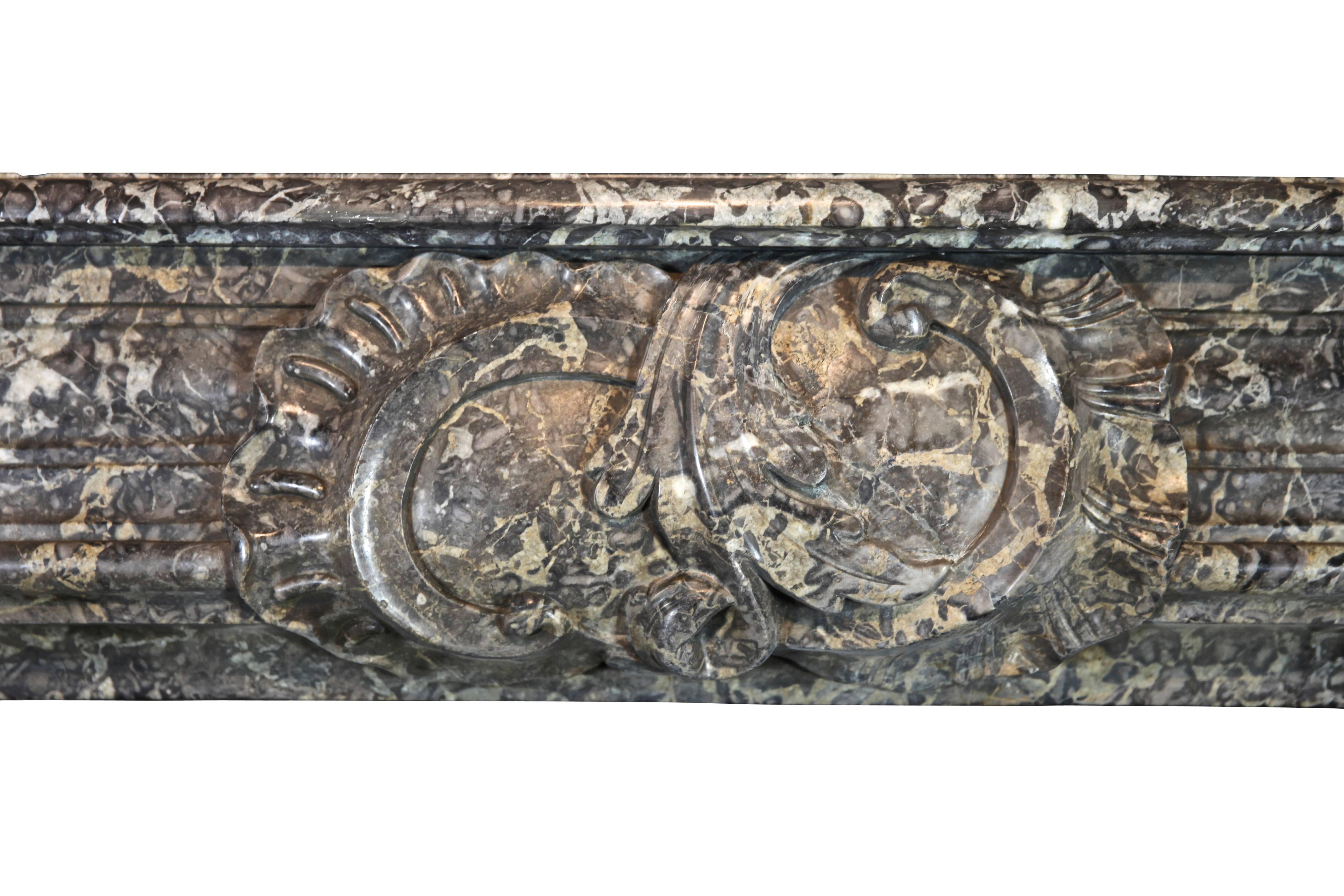 Carved 18th Century Classic Antique Fireplace Surround in Grey Belgian Marble For Sale