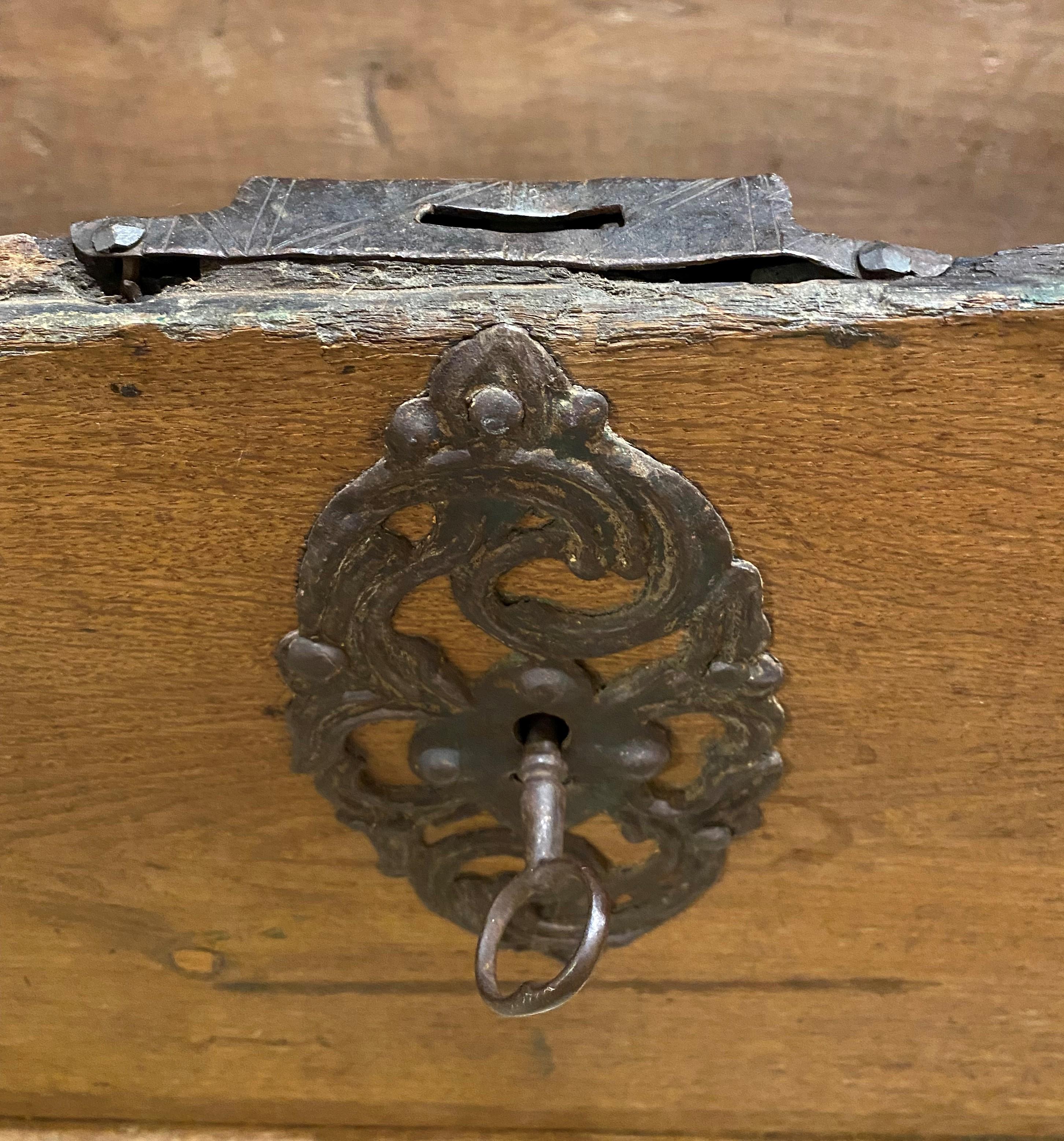 18th Century Continental Oak Dome Top Trunk with Fabulous Metalwork 6