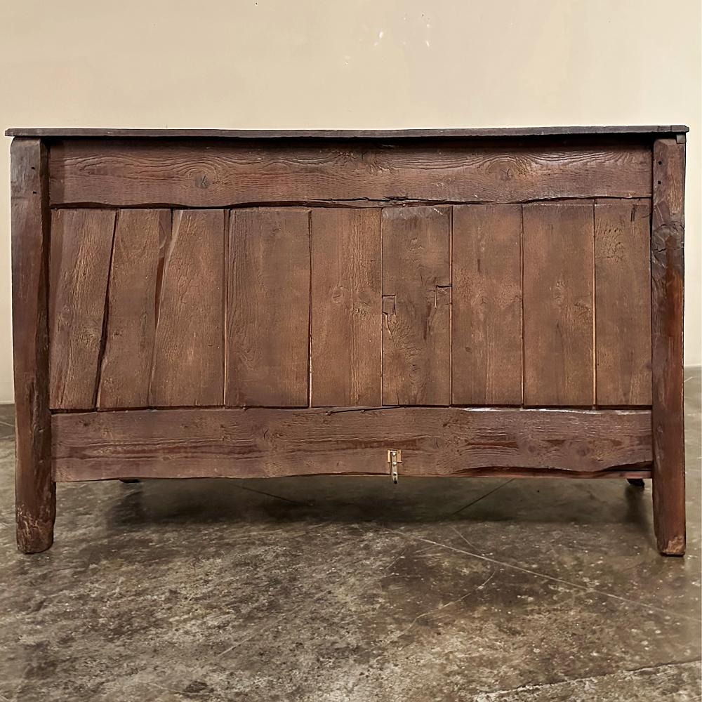 18th Century Country French Buffet from Lower Brittany For Sale 12