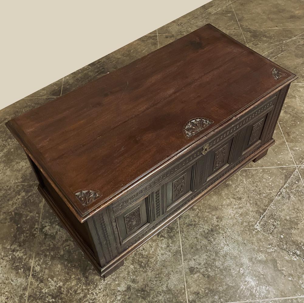 18th Century Country French Neoclassical Trunk ~ Blanket Chest For Sale 5