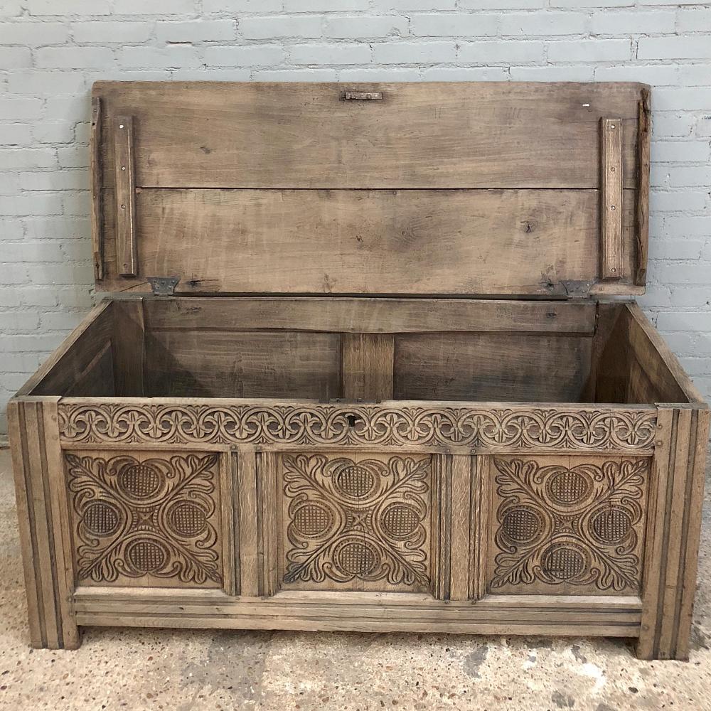 18th Century Country French Stripped Trunk 5