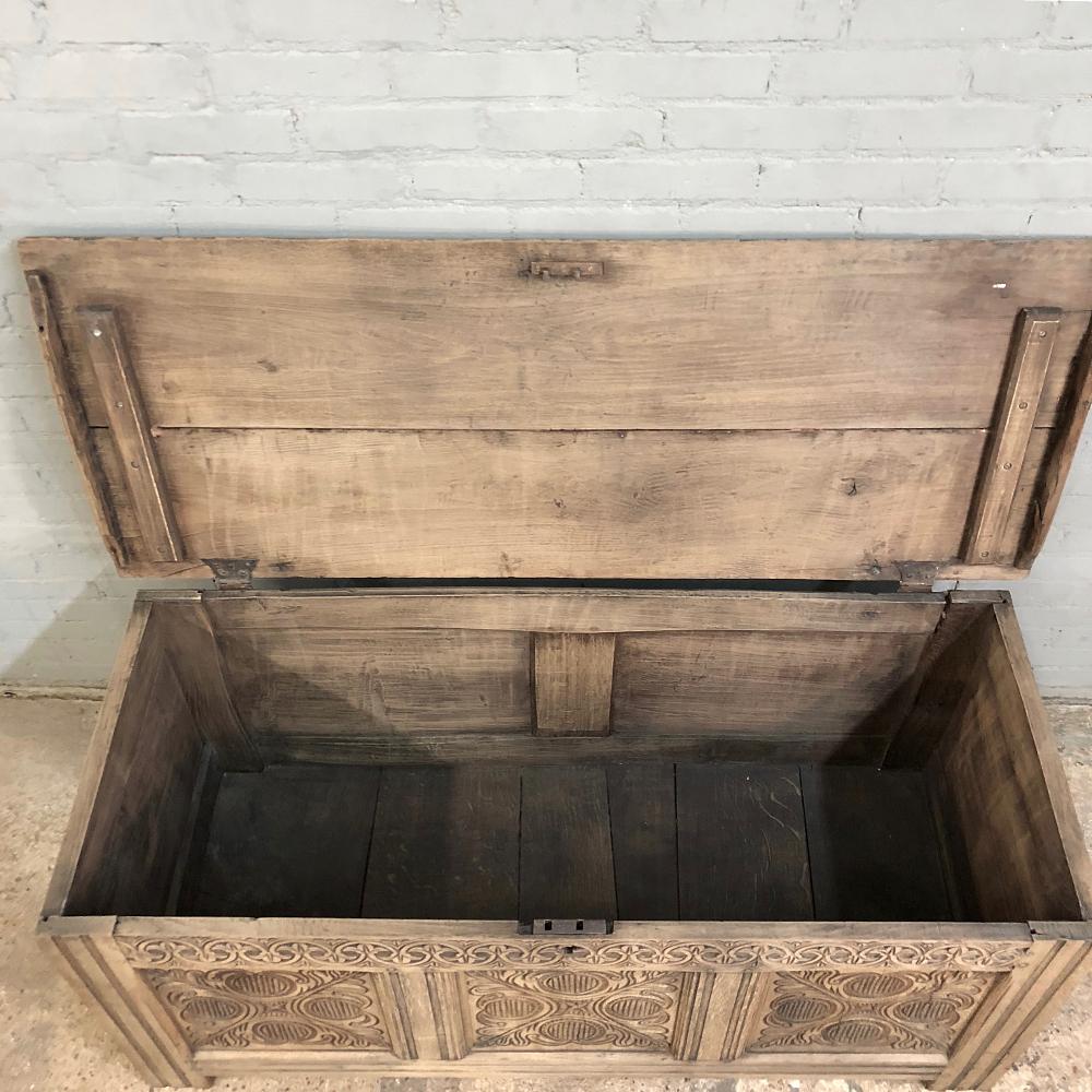 18th Century Country French Stripped Trunk 6