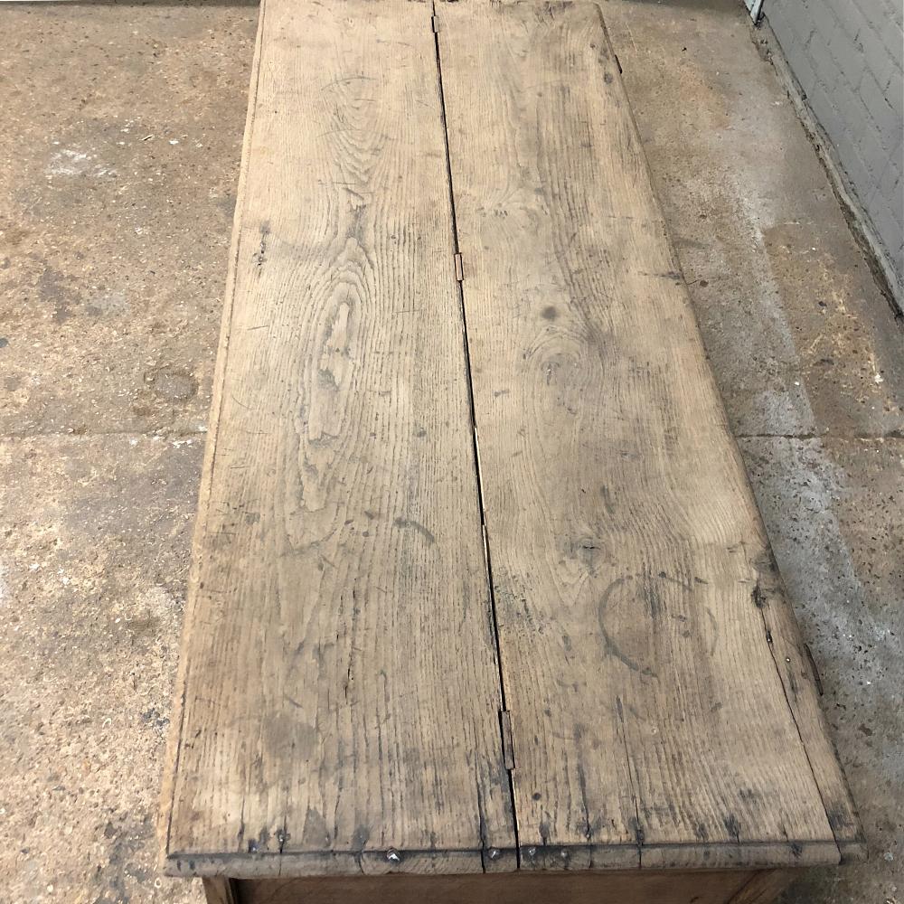 18th Century Country French Stripped Trunk 7