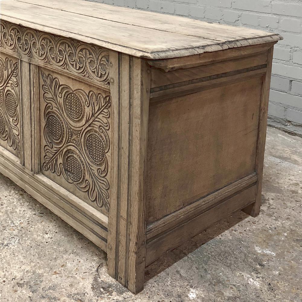 18th Century Country French Stripped Trunk 1