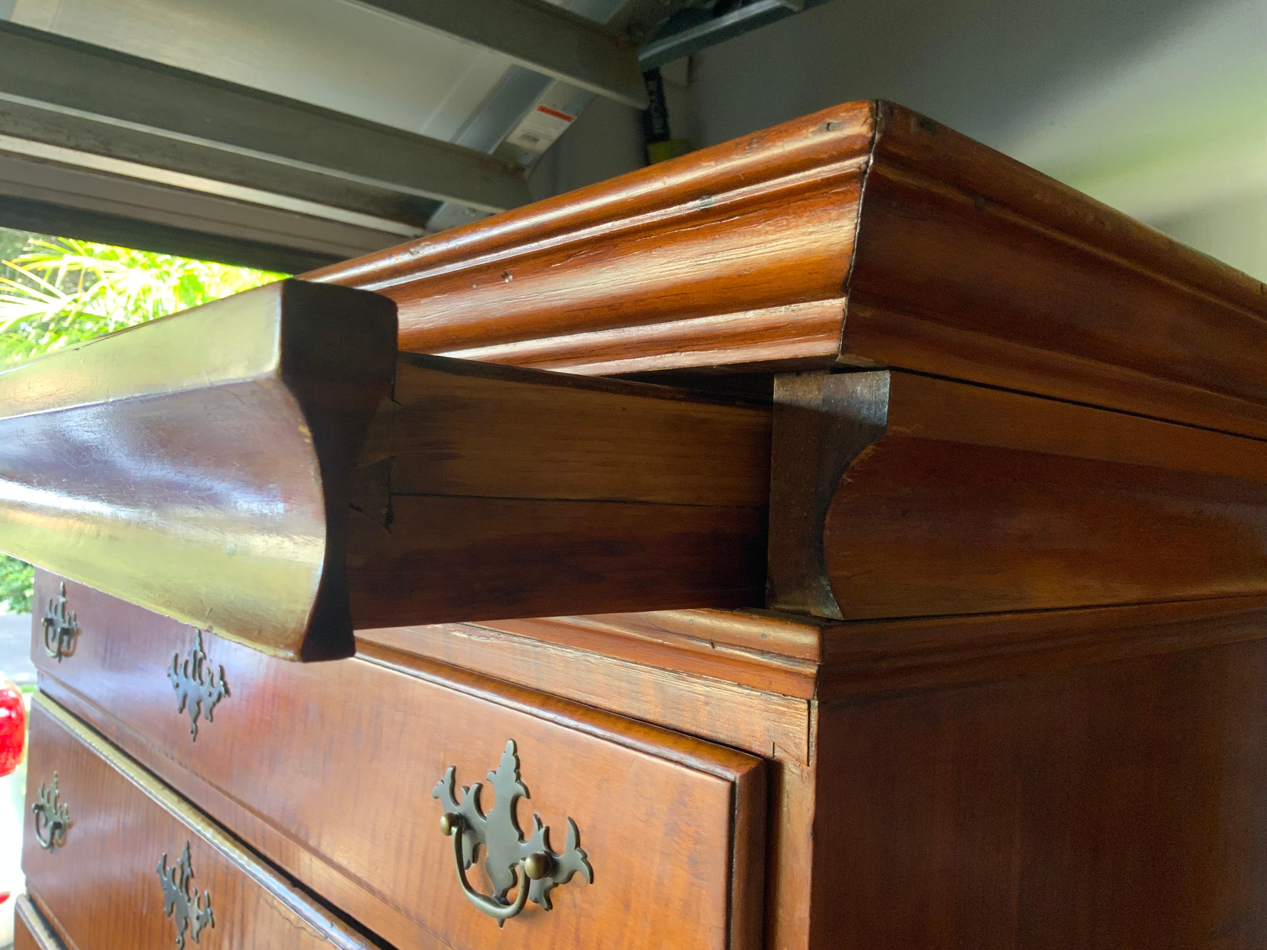 Americano Highboy in acero riccio del XVIII secolo in vendita