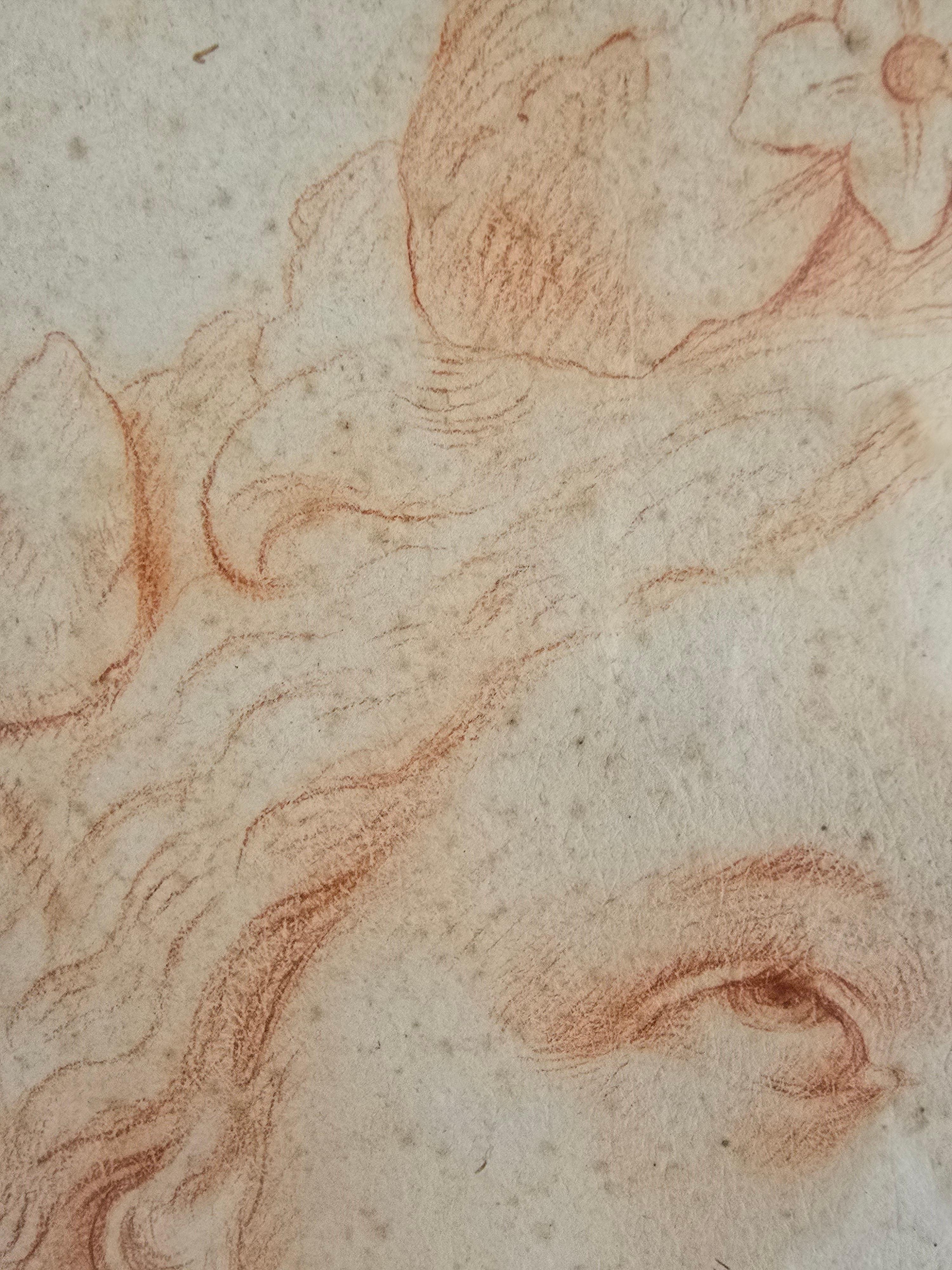 Disegno datato del XVIII secolo - Ritratto di una giovane donna (6 maggio 1780-70?) in vendita 10