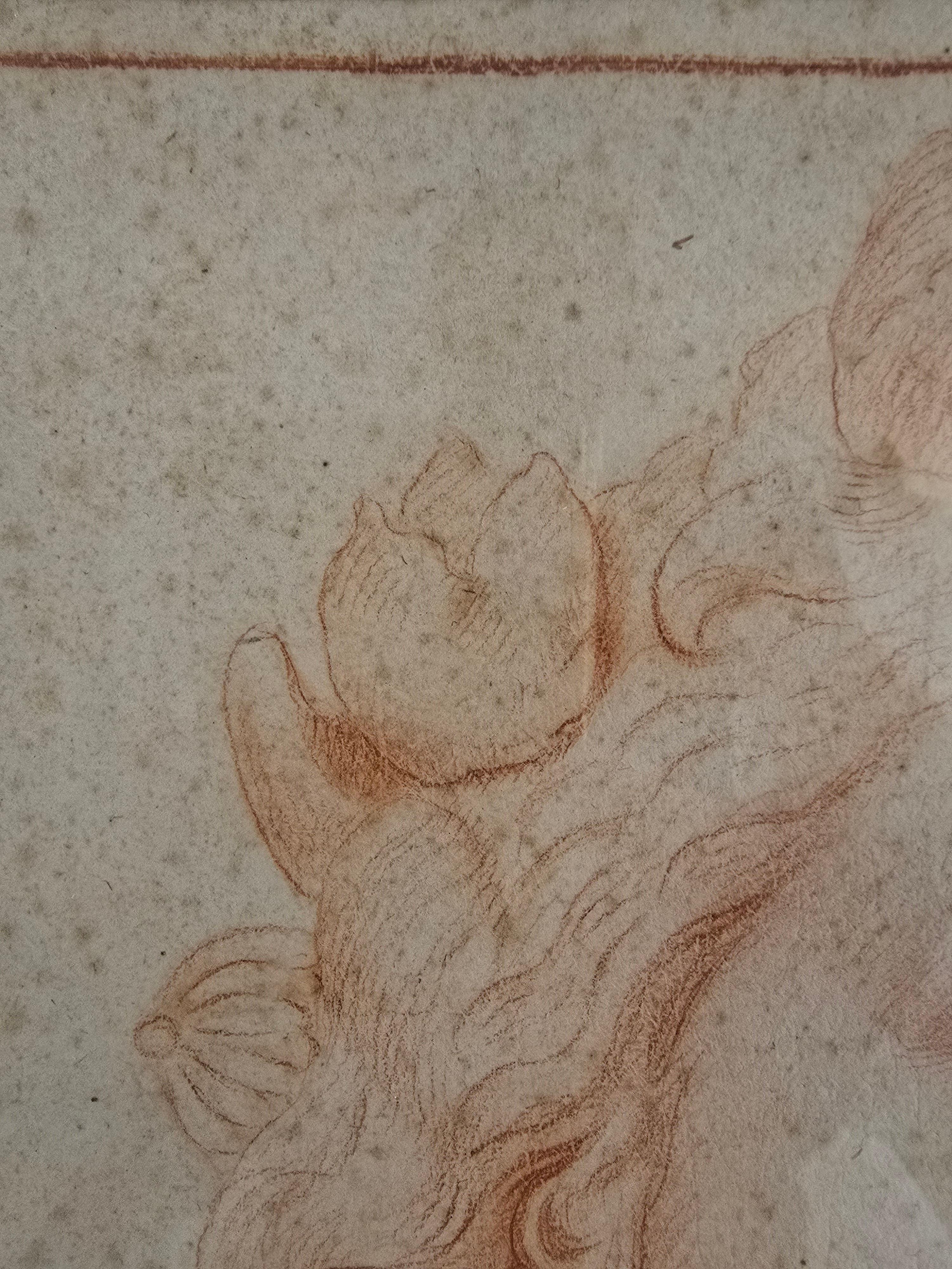 Disegno datato del XVIII secolo - Ritratto di una giovane donna (6 maggio 1780-70?) in vendita 1
