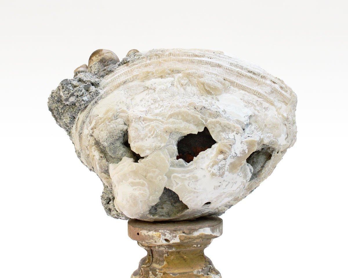 18th Century Decorated Italian Candlestick Artifact with a Fossil Clam Shell 1