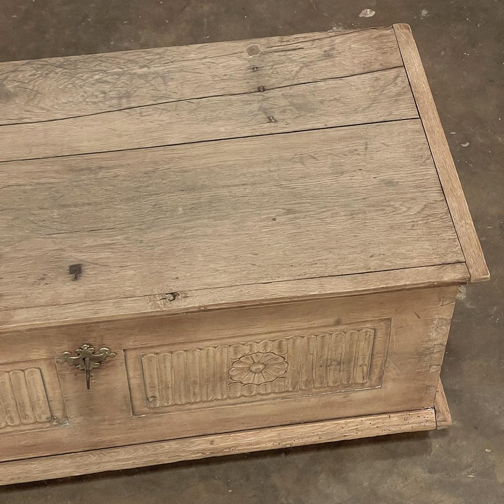 18th Century Dutch Colonial Trunk 7