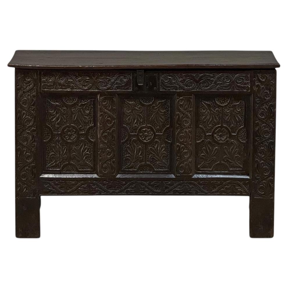 18th Century Dutch Gothic Revival Period Carved Oak Trunk ~ Blanket Chest