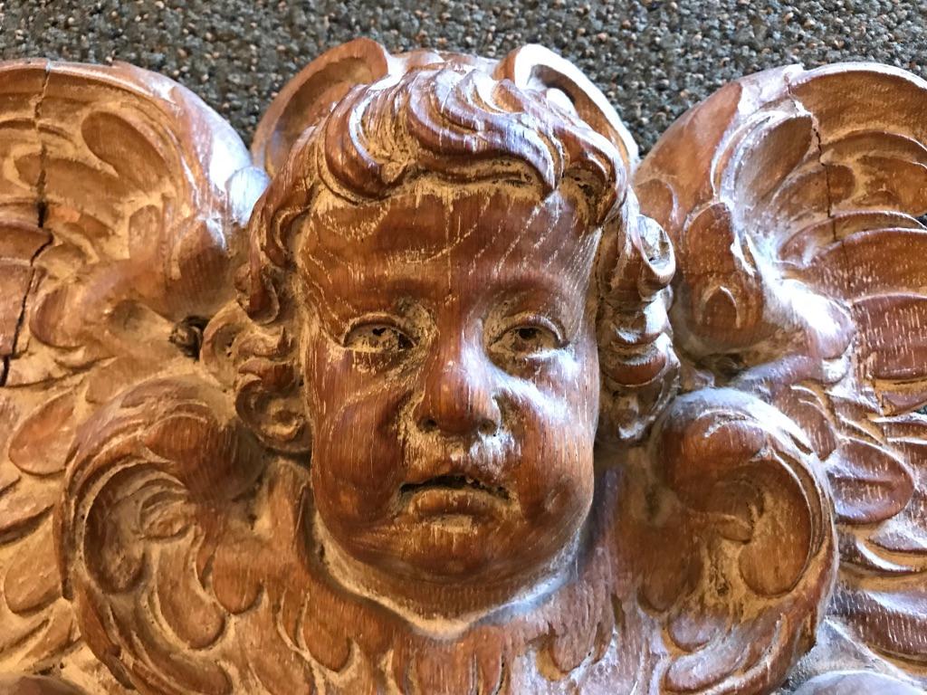 A finely carved Baroque oak armorial coat of arms with a winged putto as crest, the arms held inside a scrolled cartouche with a fruit garland below centered with a pomegranate. Two hand written labels on back state the estate auction it came from.
