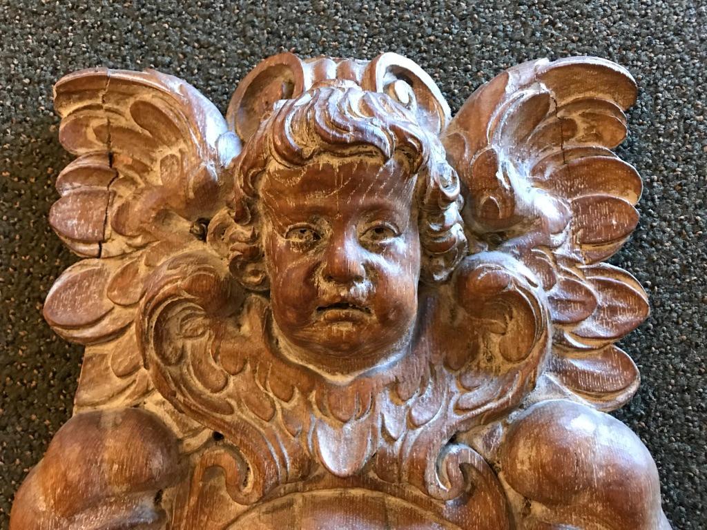 18th Century Dutch or Flemish Carved Oak Armorial Shield with Putto 1