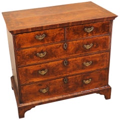 18th Century English Burr Elm and Laburnum Antique Chest of Drawers
