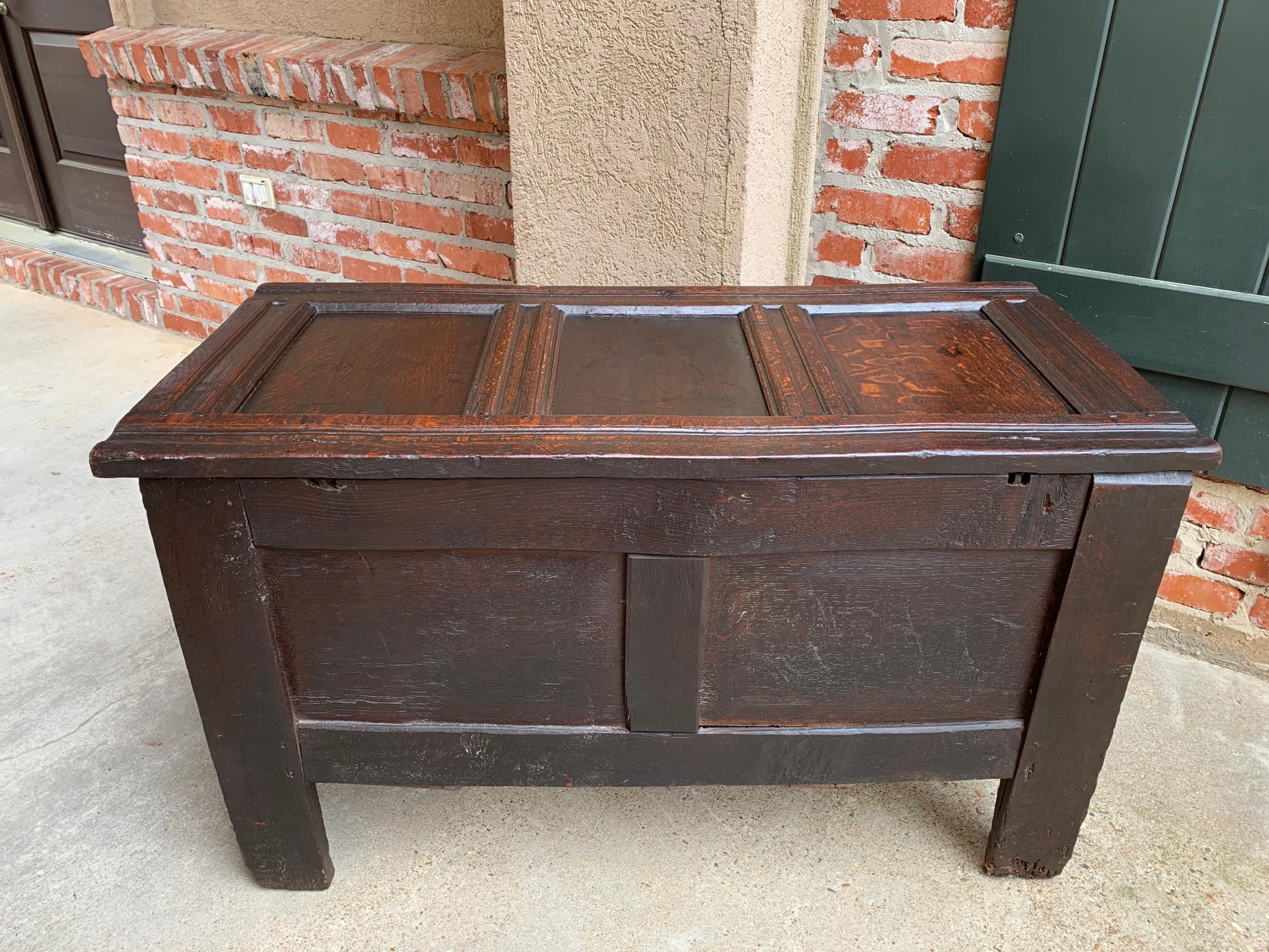 Antique English Carved Oak Coffer Trunk Chest Coffee Table Blanket Box c1770 For Sale 4