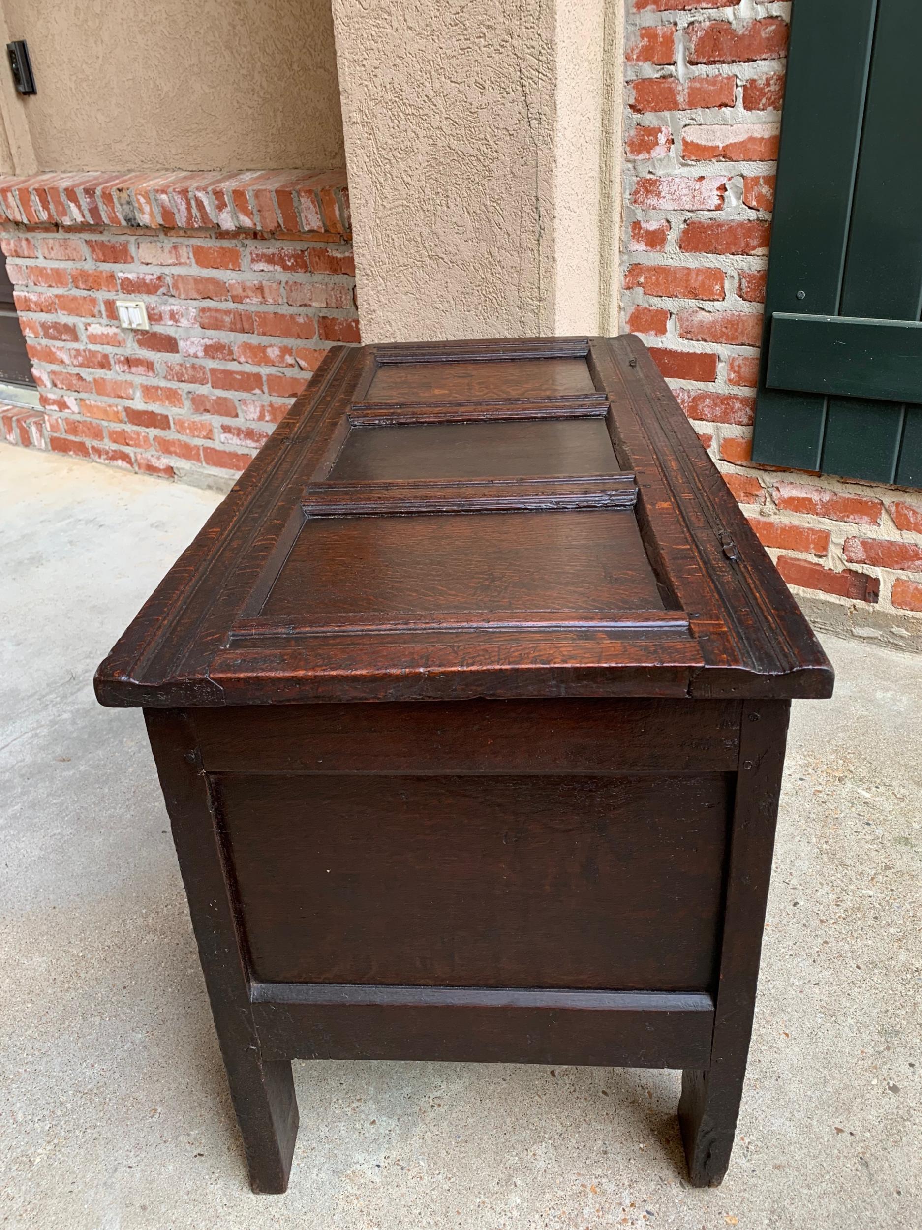 Antique English Carved Oak Coffer Trunk Chest Coffee Table Blanket Box c1770 For Sale 8