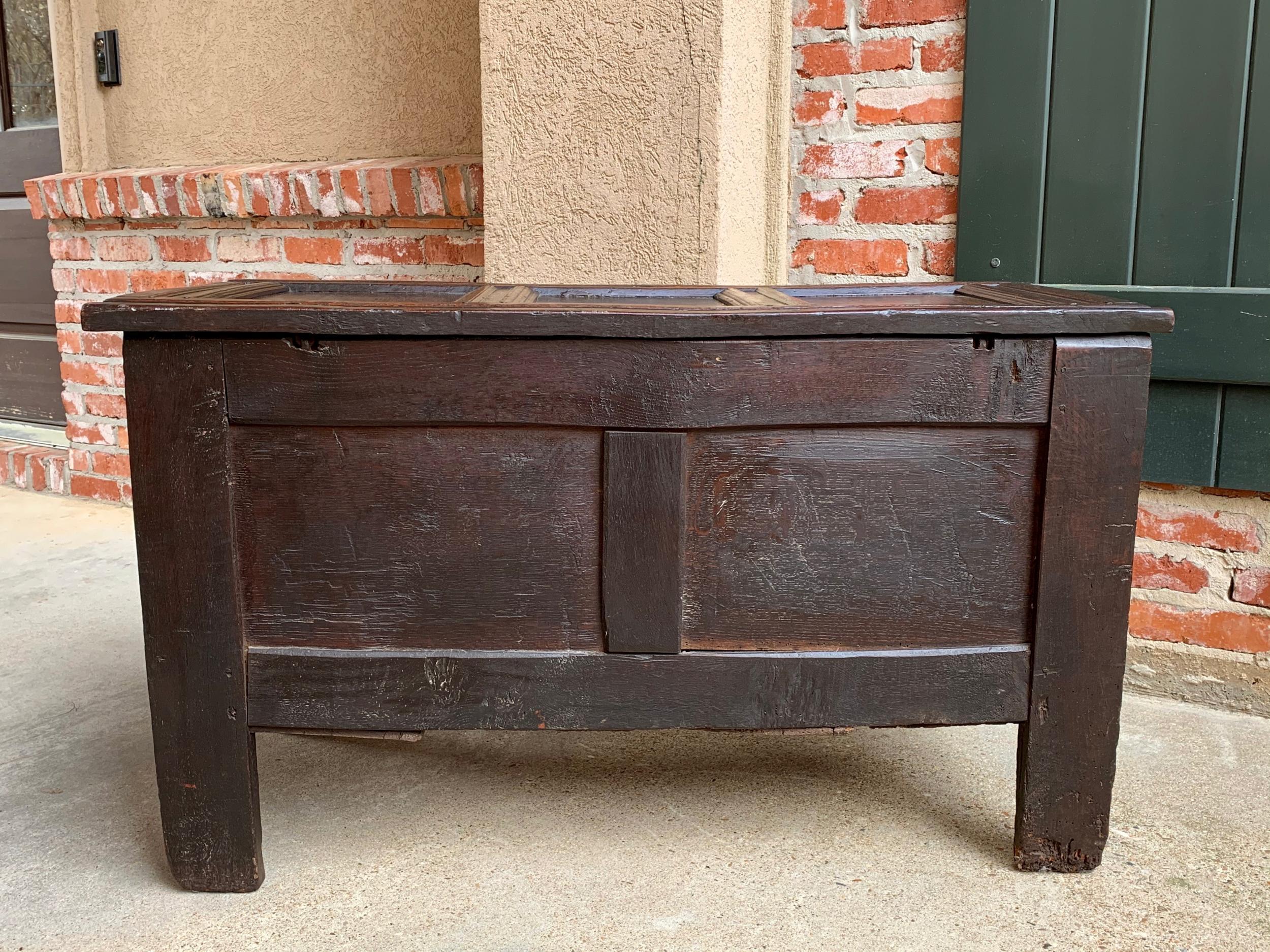 Antique English Carved Oak Coffer Trunk Chest Coffee Table Blanket Box c1770 For Sale 11