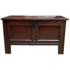 18th Century English Carved Oak Coffer Trunk Chest Coffee Table Blanket Box