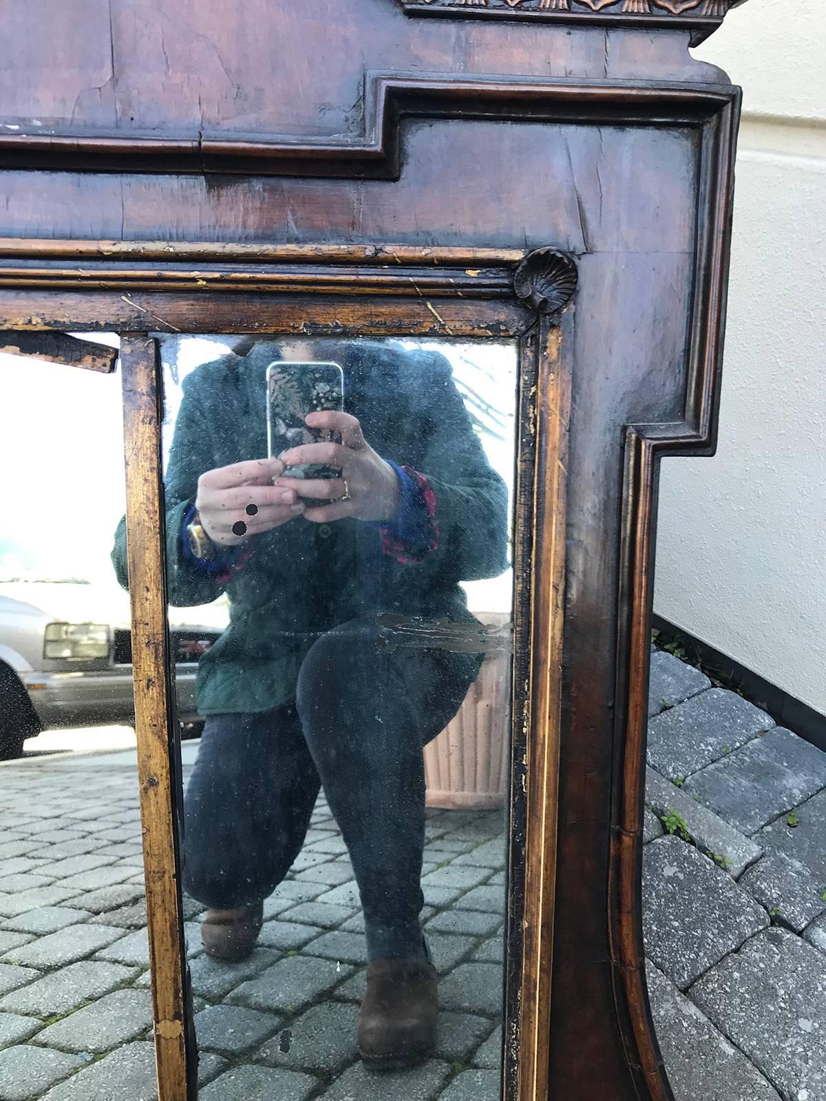18th Century English George II Carved & Figured Walnut Mirror 3